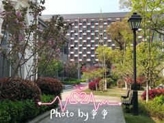 -锡师附小学(学前街校区)
