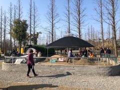 -前小桔亲子创意农场·草莓采摘·露营烧烤