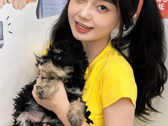 -有喵·猫咖·狗咖·40+猫狗有小奶狗(岗厦店)