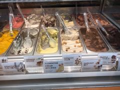 -VENCHI 闻绮(上海佛罗伦萨小镇店)