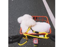 -庆丰包子铺(大红罗厂店)