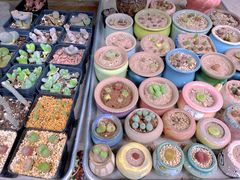 -青石桥花鸟鱼虫市场(叠翠城店)