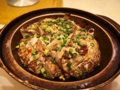 黑豆腐煲-世纪渔港
