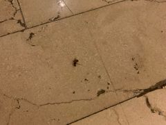 -三亚亚龙湾雅高铂尔曼别墅度假酒店