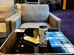 -首都机场T3航站楼商务CIP贵宾厅