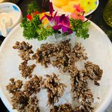 云南蒸汽石锅鱼🐟又双来郑州啦[调皮]