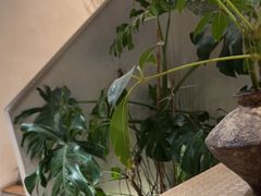 -像素研食The pixlab (皮市街店)