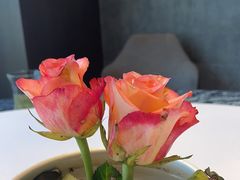 -樽宴酒楼·地道川菜·品质宴请