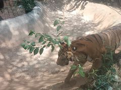 -昆明动物园