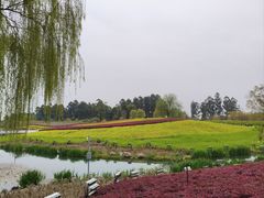 -天府芙蓉园