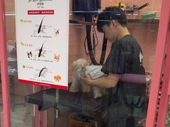 -FAELING PETS美天灵宠物(合生汇店)
