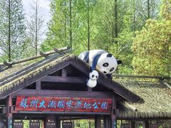 -苏州太湖国家湿地公园
