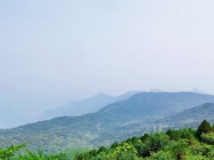 -北京鹫峰国家森林公园