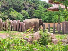 -沈阳森林动物园