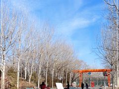 -朝阳公园游乐园