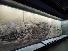 -贵州省地质博物馆
