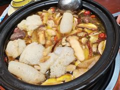 -菌之家·专业纯野生菌火锅·特色炒菌