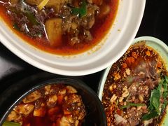 -陈麻婆豆腐总店