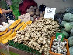 -五里多农博广场