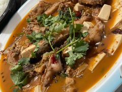 -煲来饱去冷水鱼