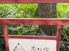 -荔湾湖公园