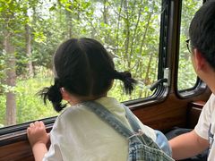 -合肥滨湖国家森林公园