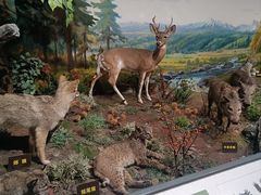 -陕西自然博物馆