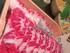 -季季山•云南野生菌火锅(上海首店)