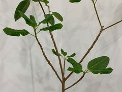 -东方足浴·洗浴SPA会所(长治路店)
