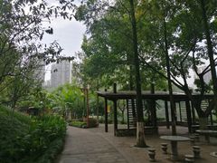 -重庆彩云湖湿地公园