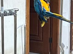 -观桥阁(锦溪店)