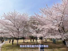 -苏州上方山国家森林公园