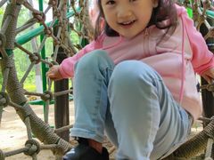 -合肥滨湖国家森林公园