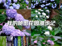 -寂照庵