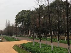 -乌村
