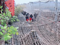 -北京呀路古热带植物园