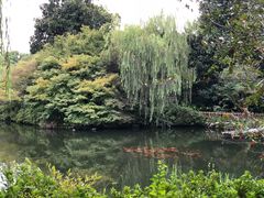 -西湖外事游船(花港观鱼码头)