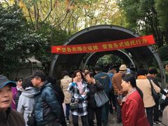 -人民公园-相亲角