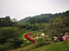 -黄埔油麻山森林公园