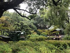 -申粤轩酒楼·三十年粤菜经典(丁香花园店)