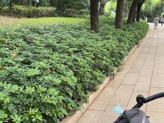 -新大新(东山广场店)