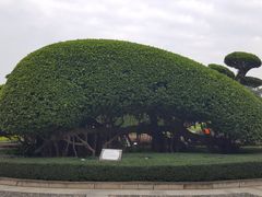 -南宁南湖公园