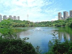 -重庆彩云湖湿地公园