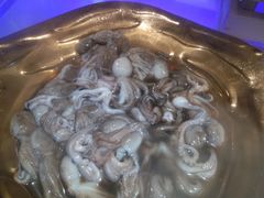 -韩盛炭火烤肉(万达广场店)