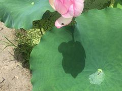 -古田会议纪念馆