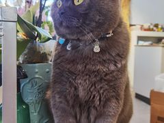 -花里花店(唐镇阳光天地店)