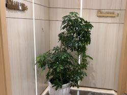 -奥本瑜伽·普拉提