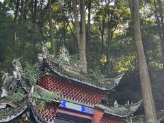 -青城山