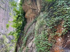 -九鲤湖风景区