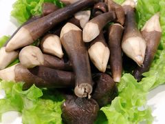 鸡枞菌-东椰·海南椰子鸡火锅(朝阳门店)